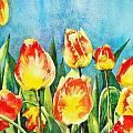 Tulips