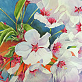 Cherry BlossomsA