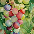 Going For Grapeness