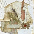 Rustic collage combining multiple natural elements